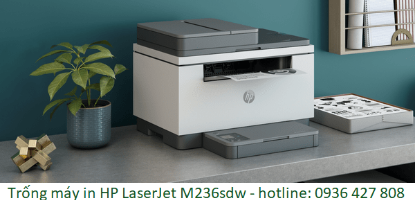 Trống máy in HP LaserJet M236sdw